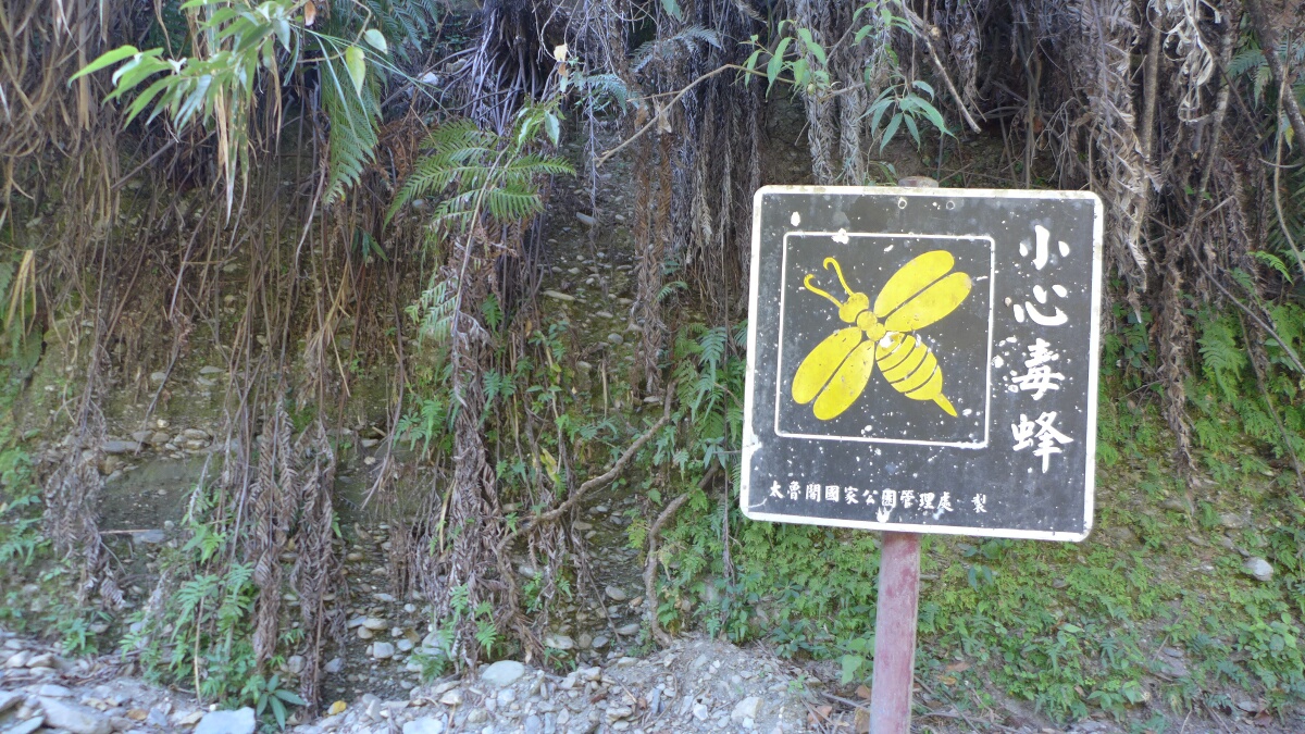 13-taroko-gorge-butterfly_sign