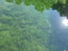 02-plitvice-clear-water-fish