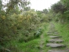 15-gow-stairs_to_parker_hill