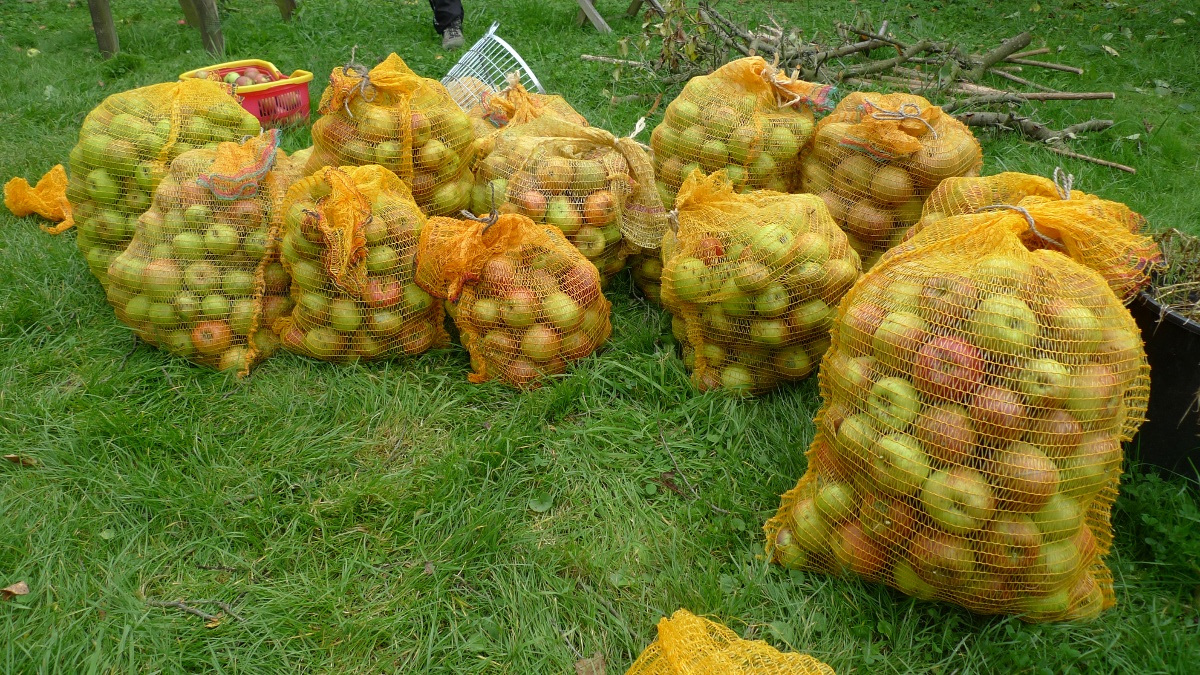03-200kg-apples