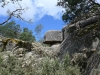 05-alpine-trail-mushroom-rock