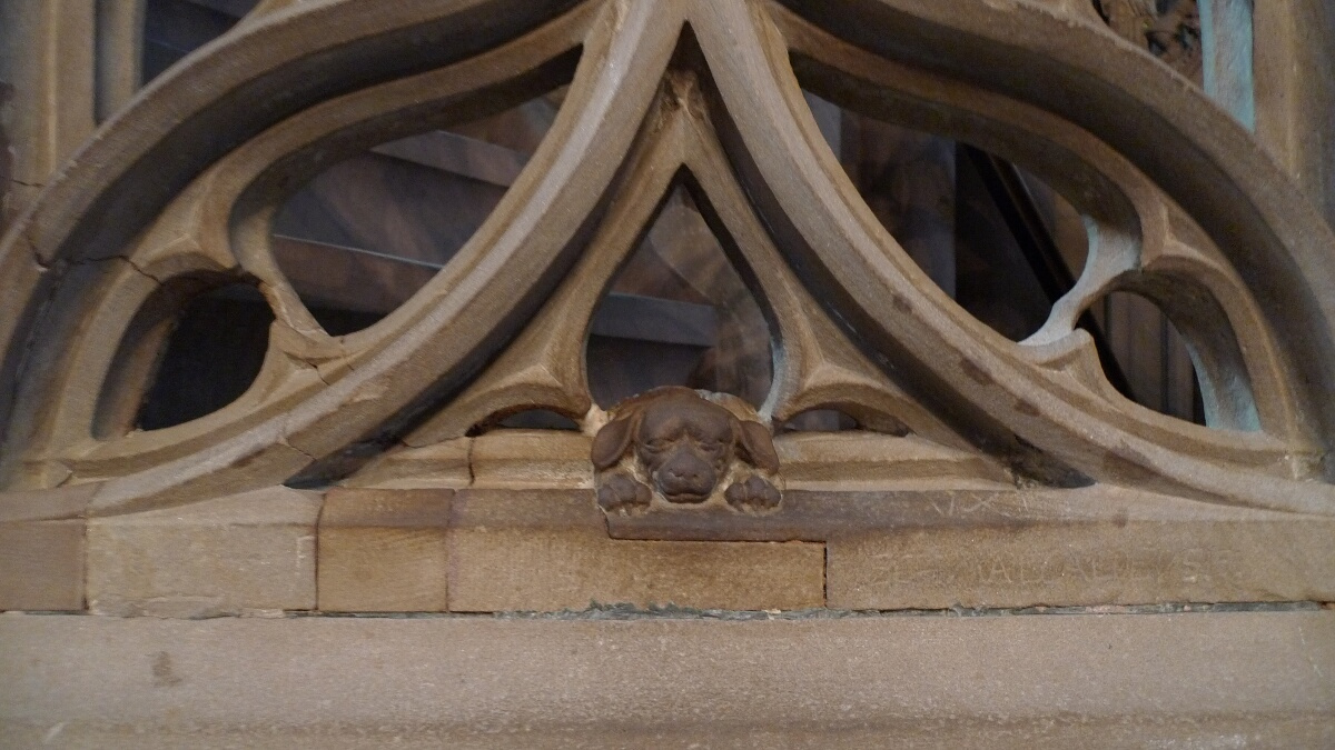 06-cathedral-dog
