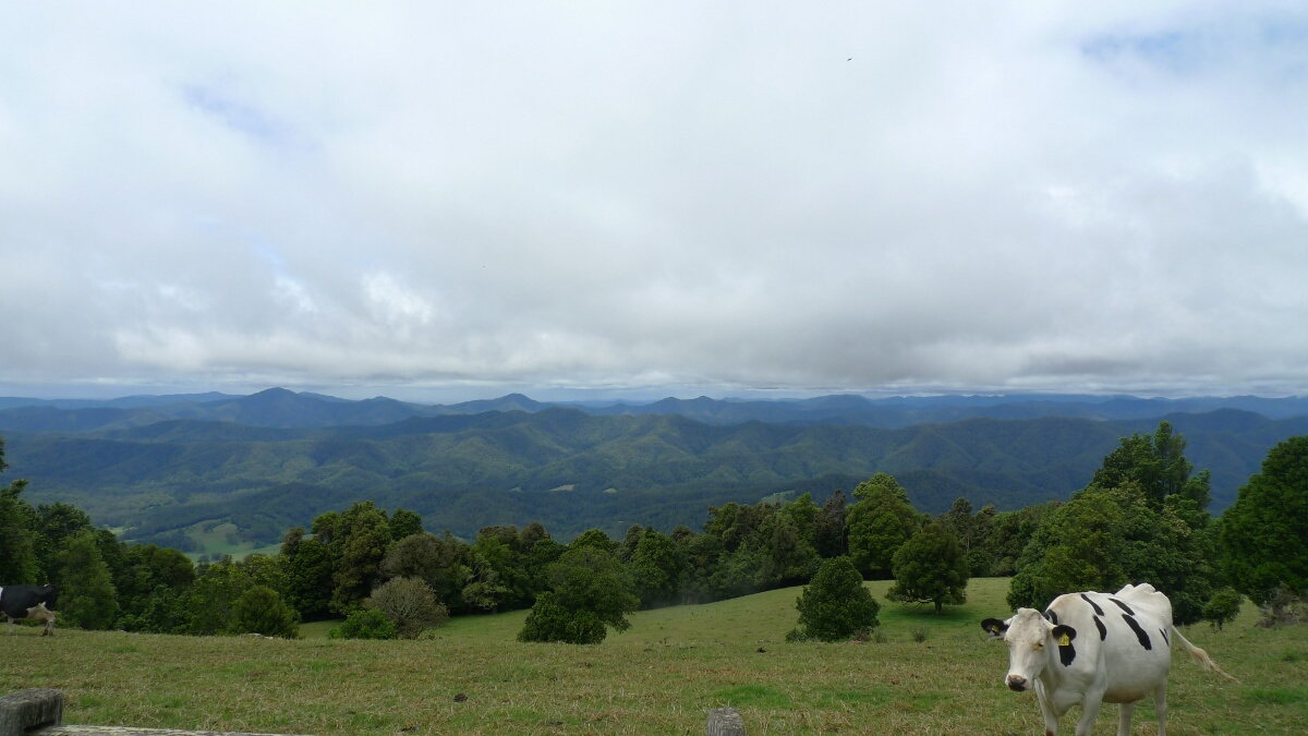 01-view-of-the-great-dividing-range