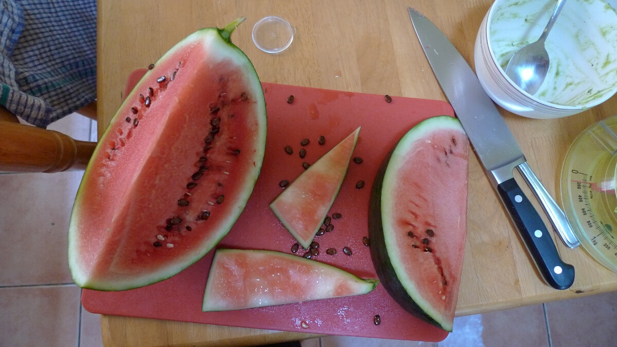 06-lots-of-seeds-in-this-watermelon