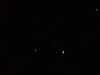 09-glow-worms